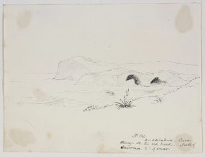[Mantell, Walter Baldock Durrant] 1820-1895 :N. P. 1847. Anaatahua - caves through wh[ich] the sea breaks. North of Waitotara. S[outh] of Okao.