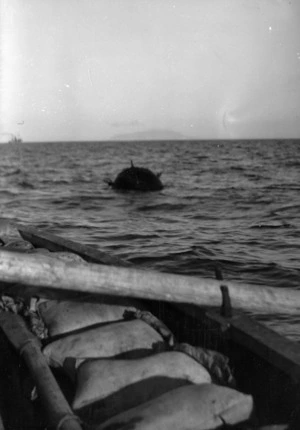 A mine swept up from the Hauraki Gulf, Auckland, after the sinking of the Niagara during World War 2