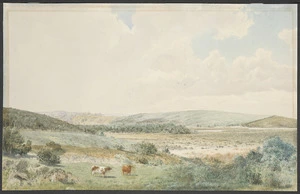 [Symons, John Corker Vigers], 1832?-1897 :[Panmure Basin. 1860s or 1870s?]