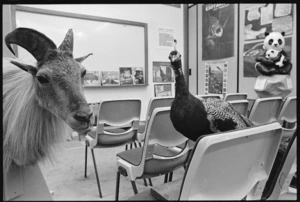 The Archibald Centre, Wellington Zoo, New Zealand - Photographed by Jon Hargest