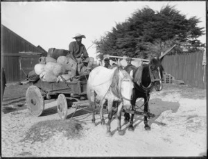Horse-drawn cart, Northland