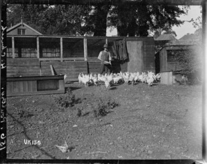 Poultry farm at Hornchurch Convalescent Camp, World War I