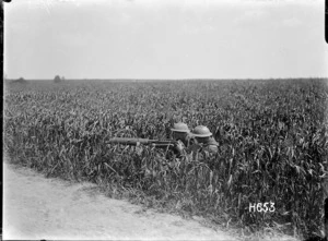 A machine gun in a field of growing corn during World War I, Colincamps