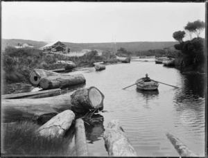 Logs in river, Northland