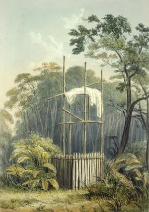 Smith, William Mein 1799-1869 :Wahi tapu or burial place. Drawn by Captain W. Mein Smith R. A. Day & Haghe. London, Smith, Elder [1845]