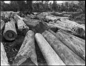 Kauri logs, Northland