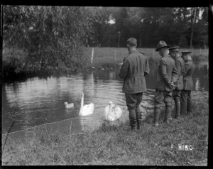 New Zealand army officers feeding swans in the grounds of a rest house, World War I