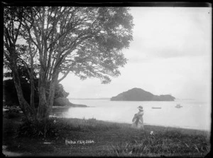 Paihia, Bay of Islands
