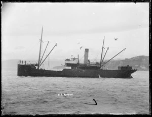 Steamer Ripple in Wellington Harbour