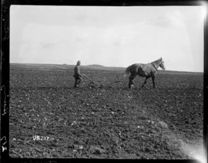 Ploughing at Sling Camp, World War I