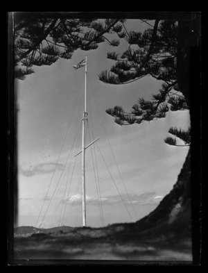 Waitangi flagpole viewed from a Norfolk Island pine