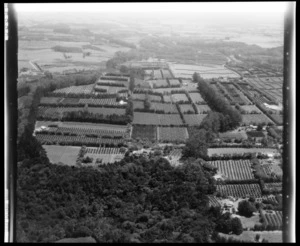 Kerikeri orchards, Northland