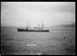 Coastal steamer Kennedy, Wellington Harbour