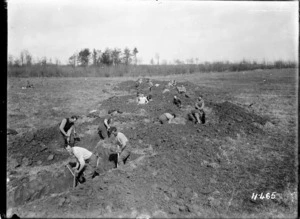New Zealand troops digging strongpoints on the Somme