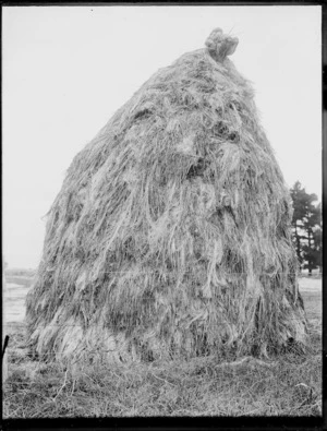 Stack of flax fibre