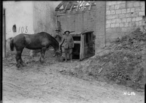 New Zealand artillery soldier watering his horse, France
