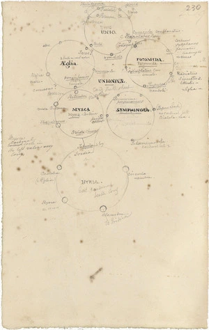 Swainson, William, 1789-1855 :[Quinarian diagram showing relationships of Unionina (molluscs). ca 1820?]
