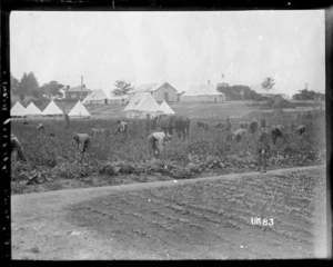 New Zealand soldiers gardening in England, World War I