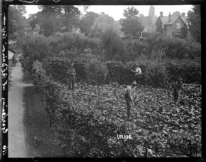 Gardening at the Daison, Torquay, World War I