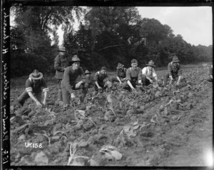 Planting cabbages at Hornchurch Convalescent Camp, World War I