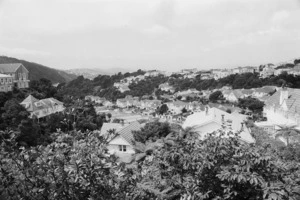 View over The Glen, from Upland Road, Kelburn, Wellington
