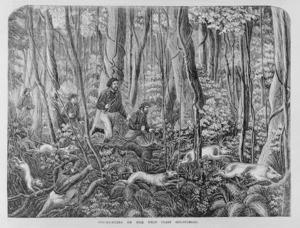 Artist unknown :Pig-hunting on the West Coast goldfields. 1868