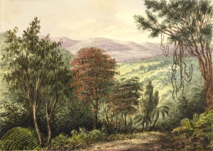 Gold, Charles Emilius 1809-1871 :[Bush scene with flowering rata and young rimu, Wellington. 1848-1850s]