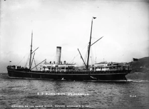 Steamship Elingamite, Wellington