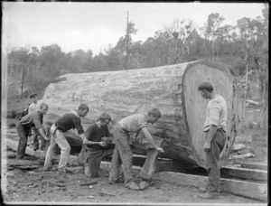 Timber workers loading a kauri log on to a log catamaran, probably Northland region