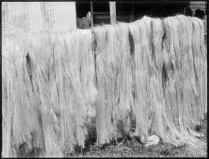 Flax drying outside shed, Lake Ohia