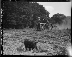 Tractor ploughing at Heathfield near Torquay, World War I