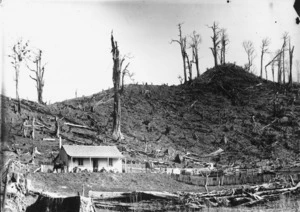 Wooden cottage surrounded by cleared land, possibly in the Horowhenua