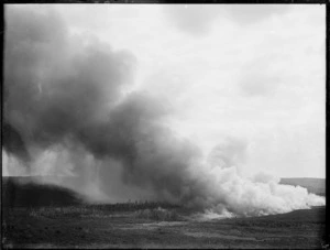 Clearing land by fire, Northland