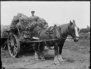 Man with a cart load of flax fibre