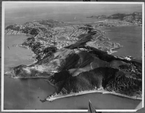 Aerial view of Point Halswell, Miramar and the eastern suburbs, Wellington