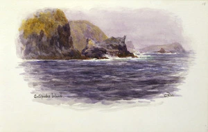 Worsley, Charles Nathaniel, 1862-1923 :Antipodes Island. [January 1902].