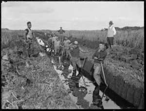 Men digging a drainage ditch in the Kaitaia swamp
