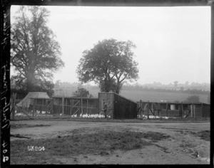 Poultry farming at Hornchurch Convalescent Camp, World War I