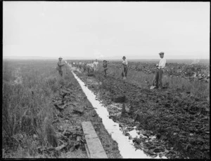 Men digging a drainage ditch, Kaitaia