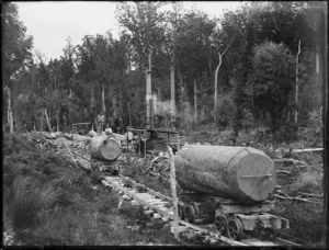 Bush tramway and steam log hauler, Northland