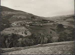 A view over the Otari Native Plant Museum and Wilton Road, Wilton, Wellington