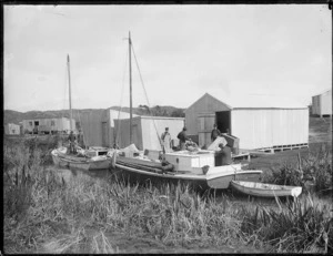 Boats and boatsheds at Waihopo