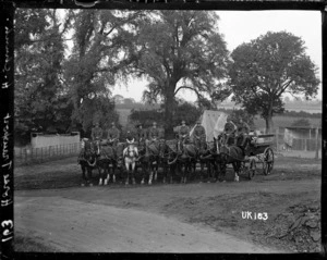 Horse transport in the grounds of the New Zealand Convalescent Camp, Hornchurch, England