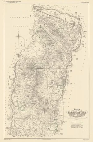 Map of Taringatura Survey District [electronic resource].