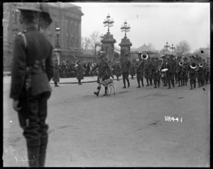 Springbok mascot in a military parade after World War I, London