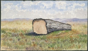 Watercolour sketch of former buried kauri tree