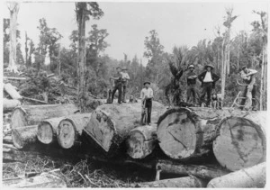 Moving Kauri logs, Boar Creek - Photograph taken by G H Edwards