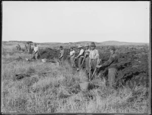 Digging for kauri gum, Northland