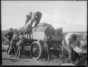 Men loading sacks of kauri gum on a cart, Northland