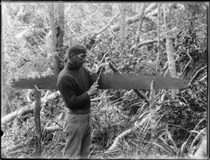 Timber worker sharpening a cross-cut saw, Northland region
